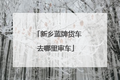 新乡蓝牌货车去哪里审车