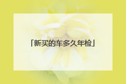 新买的车多久年检