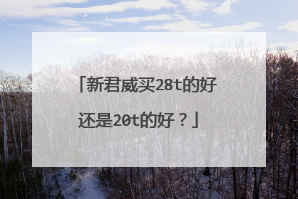 新君威买28t的好还是20t的好？