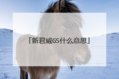新君威GS什么意思