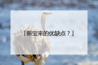 新宝来的优缺点？