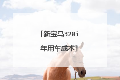 新宝马320i一年用车成本