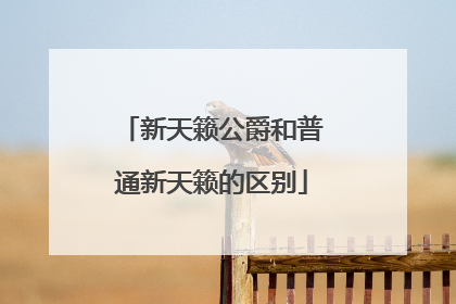 新天籁公爵和普通新天籁的区别
