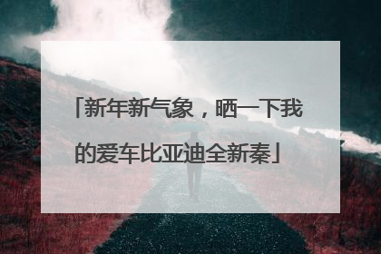 新年新气象，晒一下我的爱车比亚迪全新秦