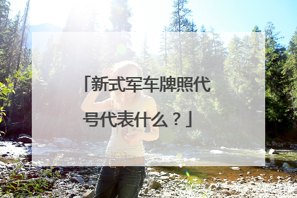 新式军车牌照代号代表什么？