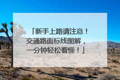 新手上路请注意！交通路面标线图解，一分钟轻松看懂！