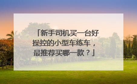 新手司机买一台好操控的小型车练车，最推荐买哪一款？