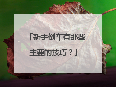 新手倒车有那些主要的技巧？