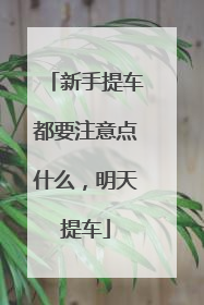 新手提车都要注意点什么，明天提车