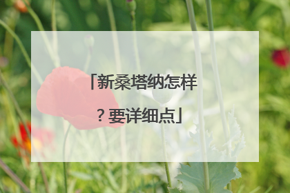 新桑塔纳怎样？要详细点