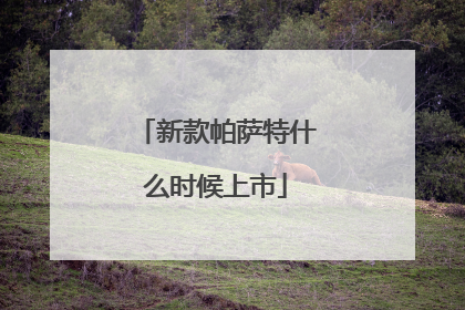 新款帕萨特什么时候上市