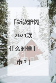 新款雅阁2021款什么时候上市？