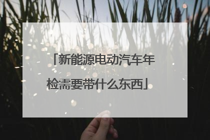 新能源电动汽车年检需要带什么东西