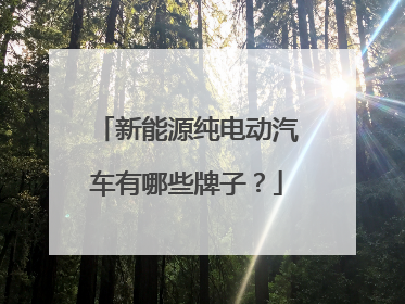 新能源纯电动汽车有哪些牌子？