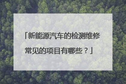 新能源汽车的检测维修常见的项目有哪些？