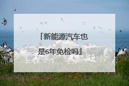 新能源汽车也是6年免检吗
