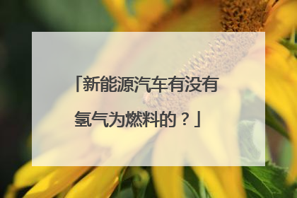 新能源汽车有没有氢气为燃料的？