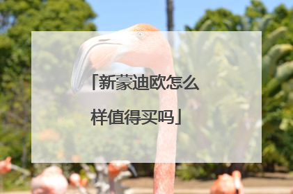 新蒙迪欧怎么样值得买吗