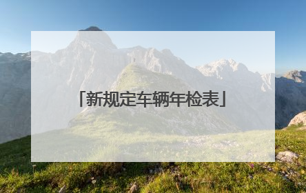 新规定车辆年检表