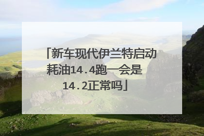 新车现代伊兰特启动耗油14.4跑一会是14.2正常吗