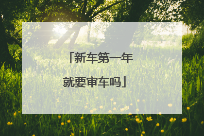 新车第一年就要审车吗