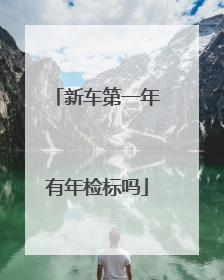 新车第一年有年检标吗