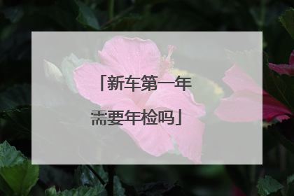 新车第一年需要年检吗