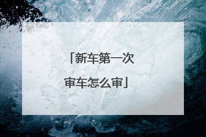 新车第一次审车怎么审