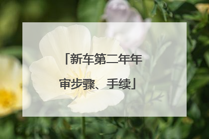 新车第二年年审步骤、手续