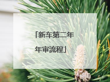 新车第二年年审流程