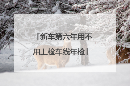 新车第六年用不用上检车线年检