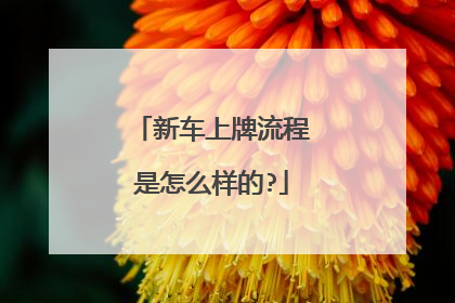 新车上牌流程是怎么样的?