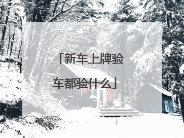 新车上牌验车都验什么