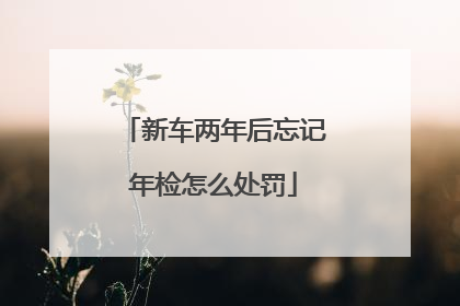 新车两年后忘记年检怎么处罚