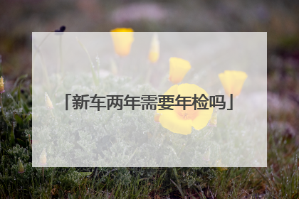 新车两年需要年检吗