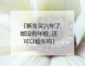 新车买六年了都没有年检,还可以检车吗