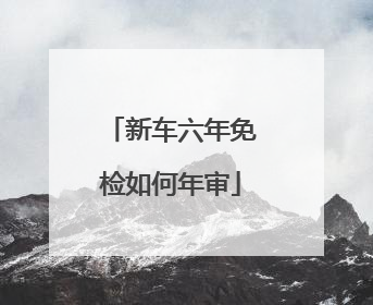 新车六年免检如何年审
