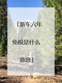 新车六年免检是什么意思
