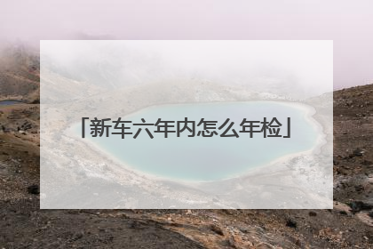 新车六年内怎么年检