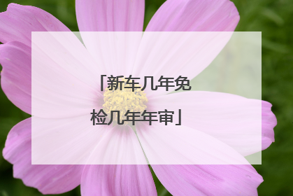 新车几年免检几年年审