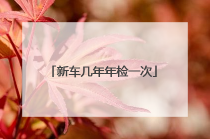 新车几年年检一次