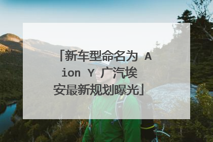 新车型命名为 Aion Y 广汽埃安最新规划曝光