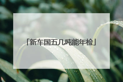 新车国五几吨能年检