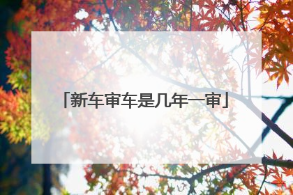 新车审车是几年一审