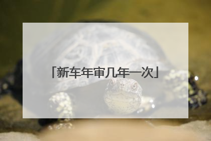 新车年审几年一次