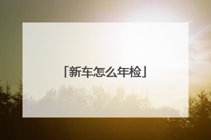 新车怎么年检