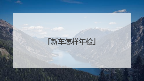 新车怎样年检