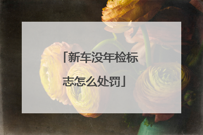 新车没年检标志怎么处罚
