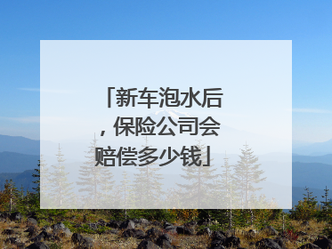 新车泡水后，保险公司会赔偿多少钱