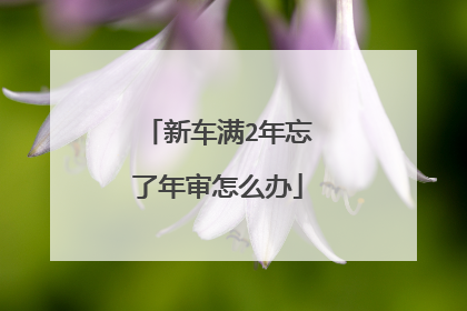 新车满2年忘了年审怎么办